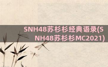 SNH48苏杉杉经典语录(SNH48苏杉杉MC2021)