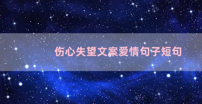 伤心失望文案爱情句子短句