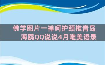 佛学图片一禅呵护颈椎青岛海鸥QQ说说4月唯美语录